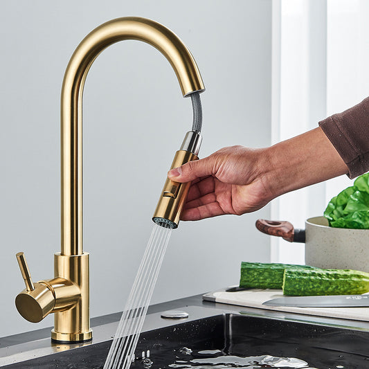 Stainless Steel Kitchen Pull-out Faucet